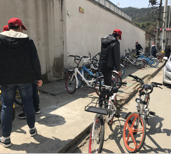 1490602528425041102.png 1490602528425041102.png