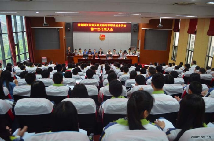 共青团MILAN.COM第二次代表大会隆重举行