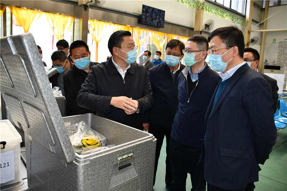 1587720389475016438.jpg DSC_2174.jpg